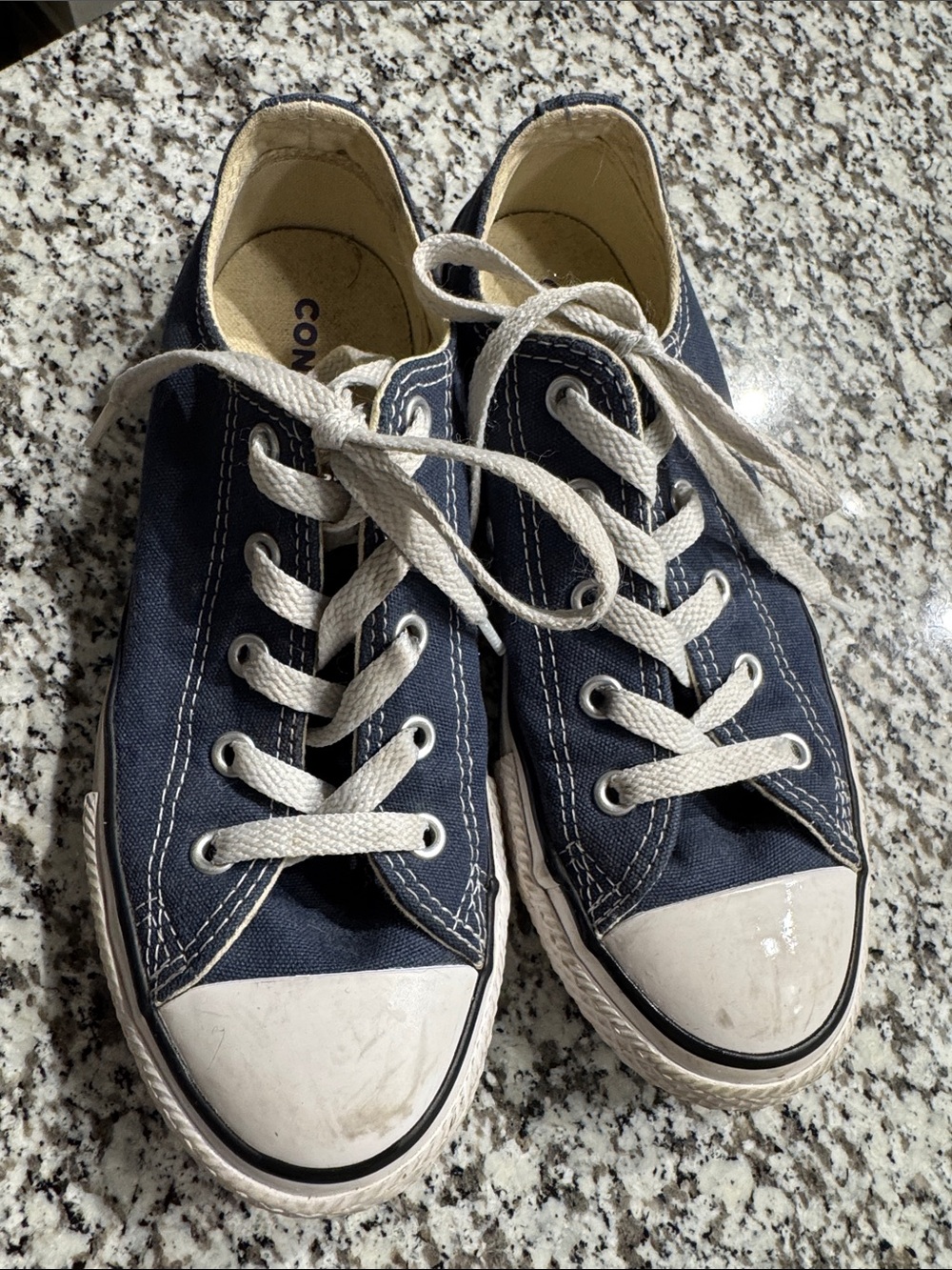 Converse Kids Navy Blue Low-Top Canvas Sneakers